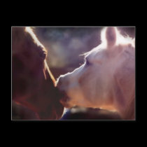 Best Friends Equine Post Card postcards