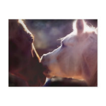 Best Friends Equine Post Card postcards by HorseCharmed Best Friends Equine Post Card postcards