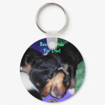 Best Friends For Life! keychains