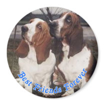 Best Friends Forever Bassetts magnets by MagnetMadness Best Friends Forever Bassetts magnets