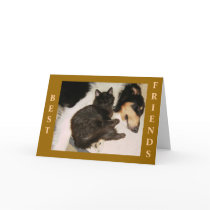 BEST FRIENDS FOREVER! cards by minx267 BEST FRIENDS FOREVER! cards