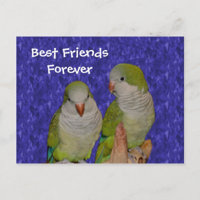 cute friends forever quotes. Best Friends Forever Cute