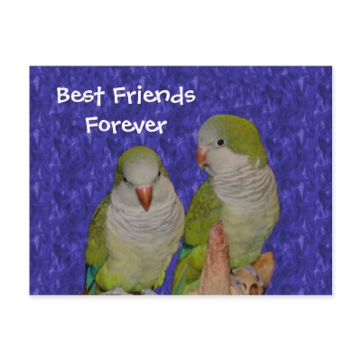 cute best friends forever quotes. Best Friends Forever Cute