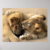 Best Friends Forever Poster