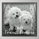Best Friends Forever Poster Print