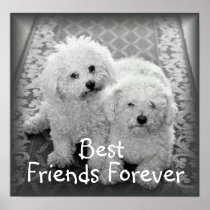 Best Friends Forever Poster Print