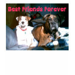 Best Friends Forever Shirt Best Friends Forever Shirt