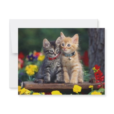 Best Friends Personalized Announcement by oddbob