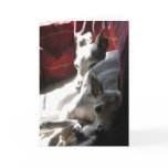 "Best Friends" italian greyhound photo Greeting Card
