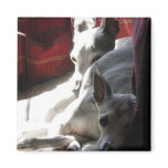 "Best Friends" italian greyhound photo Refrigerator Magnets