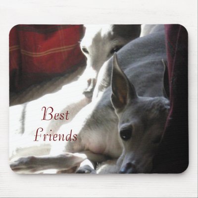 "Best Friends" italian greyhound photo Mouse Mat by RLMdesignes