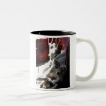 "Best Friends" italian greyhound photo Mugs