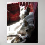 "Best Friends" italian greyhound photo Posters