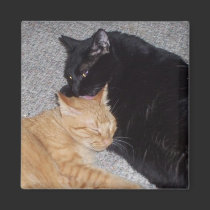 Best Friends Magnet by Victoreeah Best Friends Magnet