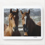 Best Friends Mousepads