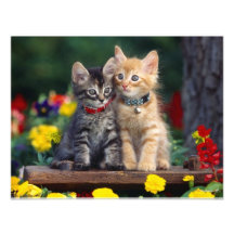 Best Friends Personalized Announcement