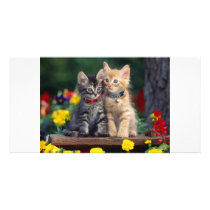 Best Friends photo cards