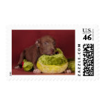 Best friends stamp