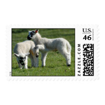 Best Friends postage