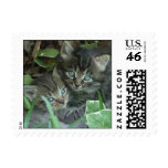 "Best Friends" Postage Stamp