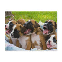 Best Friends postcards