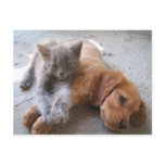 Best Friends Postcard
