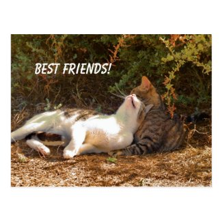 Best Friends - Postcard