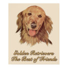  - Loving intelligent dog breed. Vintage image of Golden Labrador Retriever with text "Golden Retrievers. The Best of Friends": Sizes 