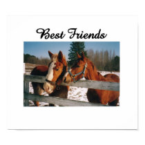 Best Friends posters