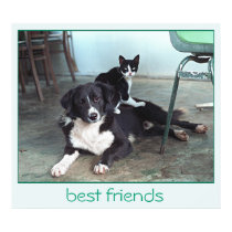 Best Friends posters