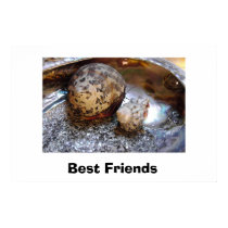 Best Friends posters