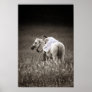 Best Friends Posters