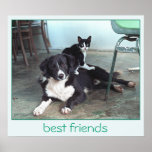 Best Friends Posters
