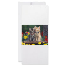 Best Friends rack cards by oddbob Best Friends rack cards