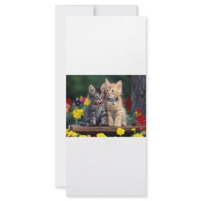 Best Friends Rack Card Template by oddbob