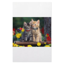 Best Friends stationery