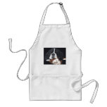 Best In Black Aprons