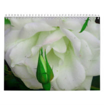 Best is yet to come_ Calendar_by Elenne Boothe