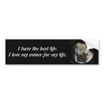 Best life bumper sticker bumper stickers by ldubinski Best life bumper sticker bumper stickers