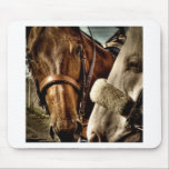 Best of Friends mousepads