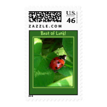 Best of Luck! - Ladybug stamp by Rainmountain Best of Luck! - Ladybug stamp