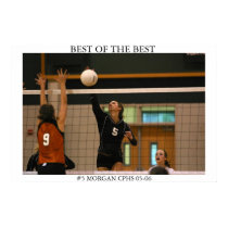 BEST OF THE BEST 1 posters by buffarama BEST OF THE BEST 1 posters