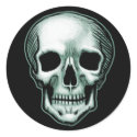Best Skull in The World EVER! sticker