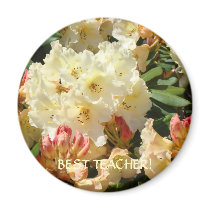 BEST TEACHER GIFT Rhodies Magnet Christmas Gift