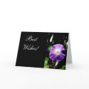Best Wishes! - card by Horseshoes3 Best Wishes! - card