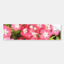 Best Wishes - Floral Presentation Bumper Sticker
