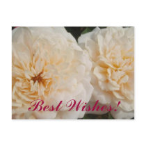 Best Wishes Flowers postcards
