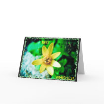 Best wishes greeting card
