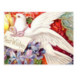 Best Wishes Victorian Dove Wedding Birthday postcards
