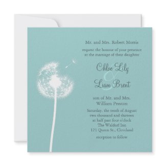 Best Wishes! Wedding Invitation (turquoise) invitation